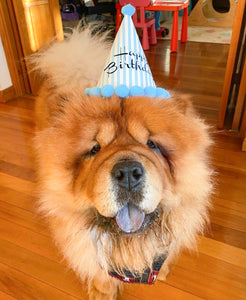 Party Hat with Pom Poms